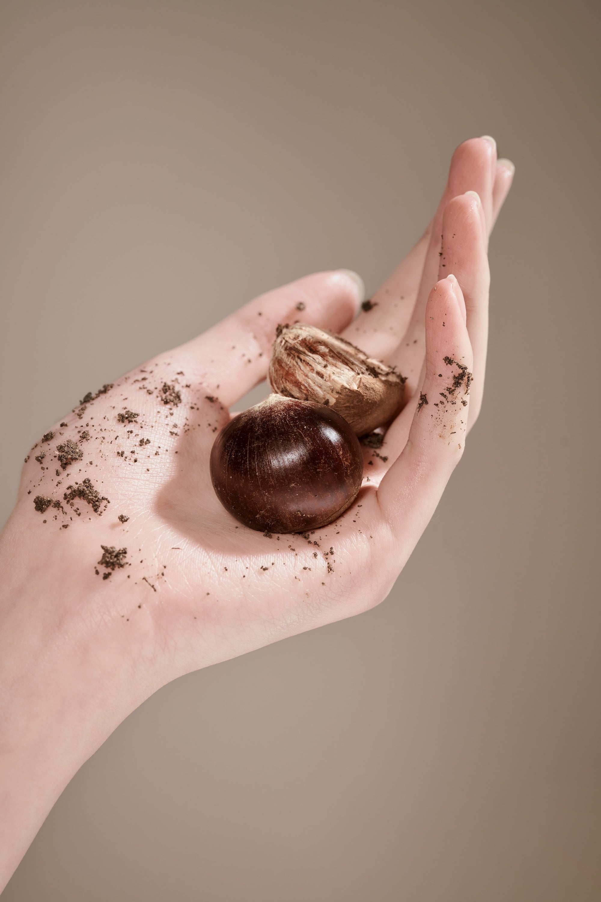 Chestnut Shells? Skincare’s Best Kept Secret