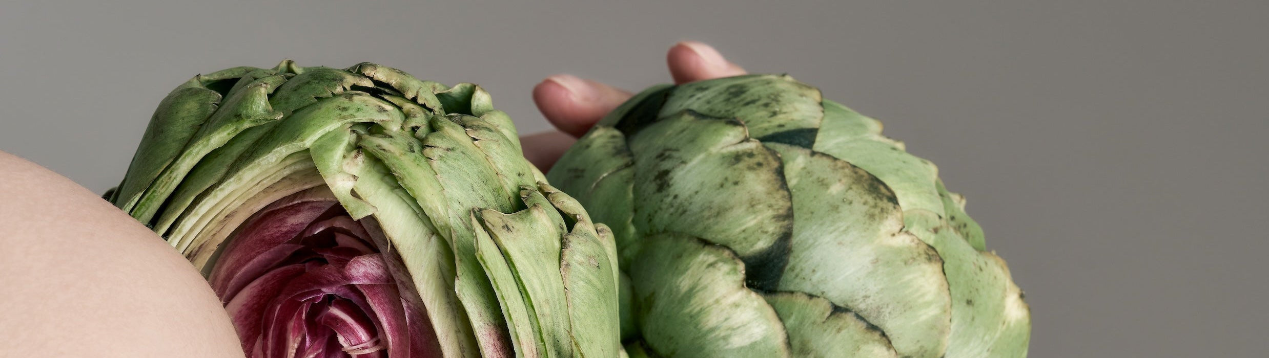 Artichoke Collection